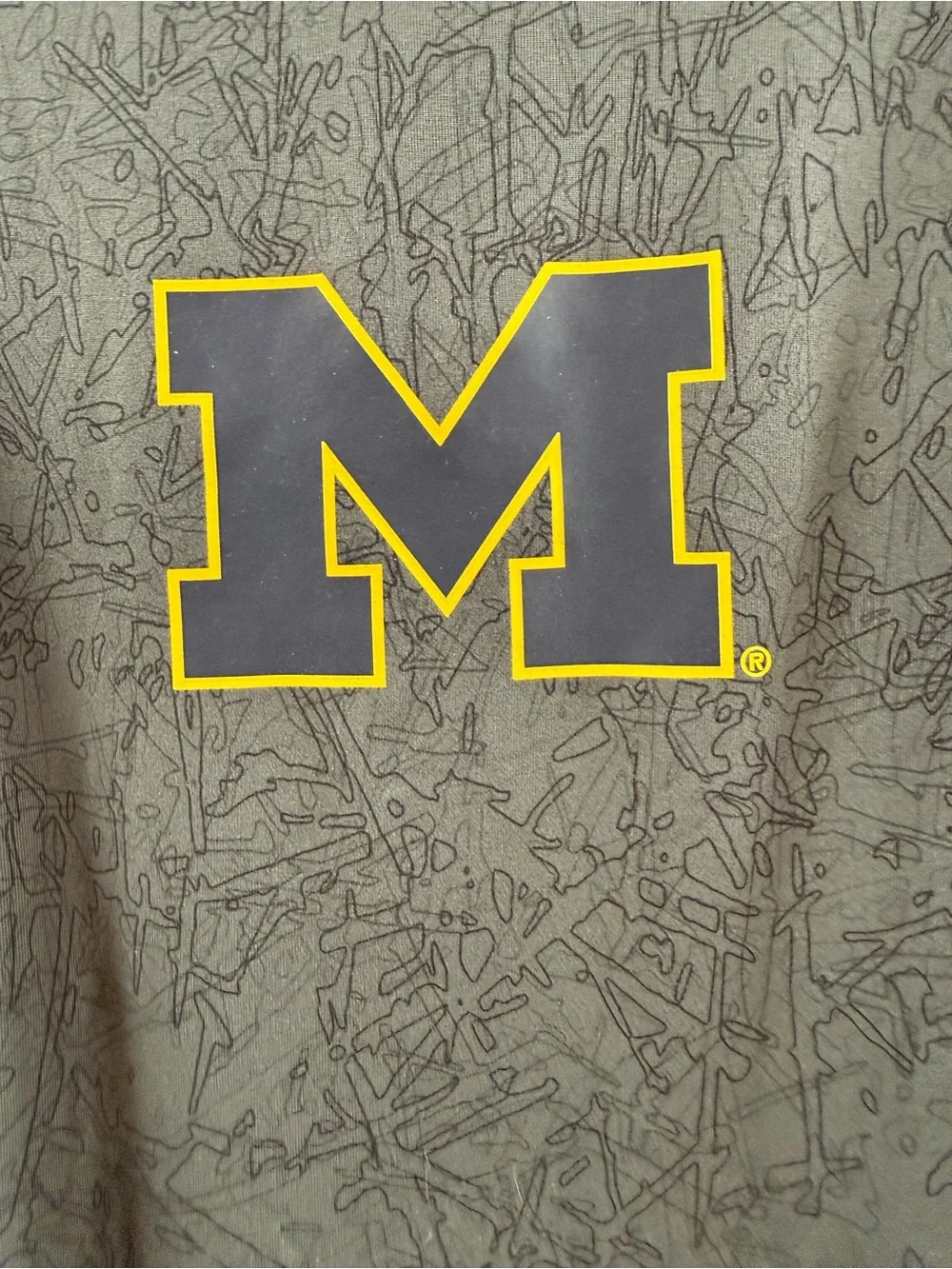 Men’s Jordan Michigan Wolverines Shirt Mens Large Long Sleeve